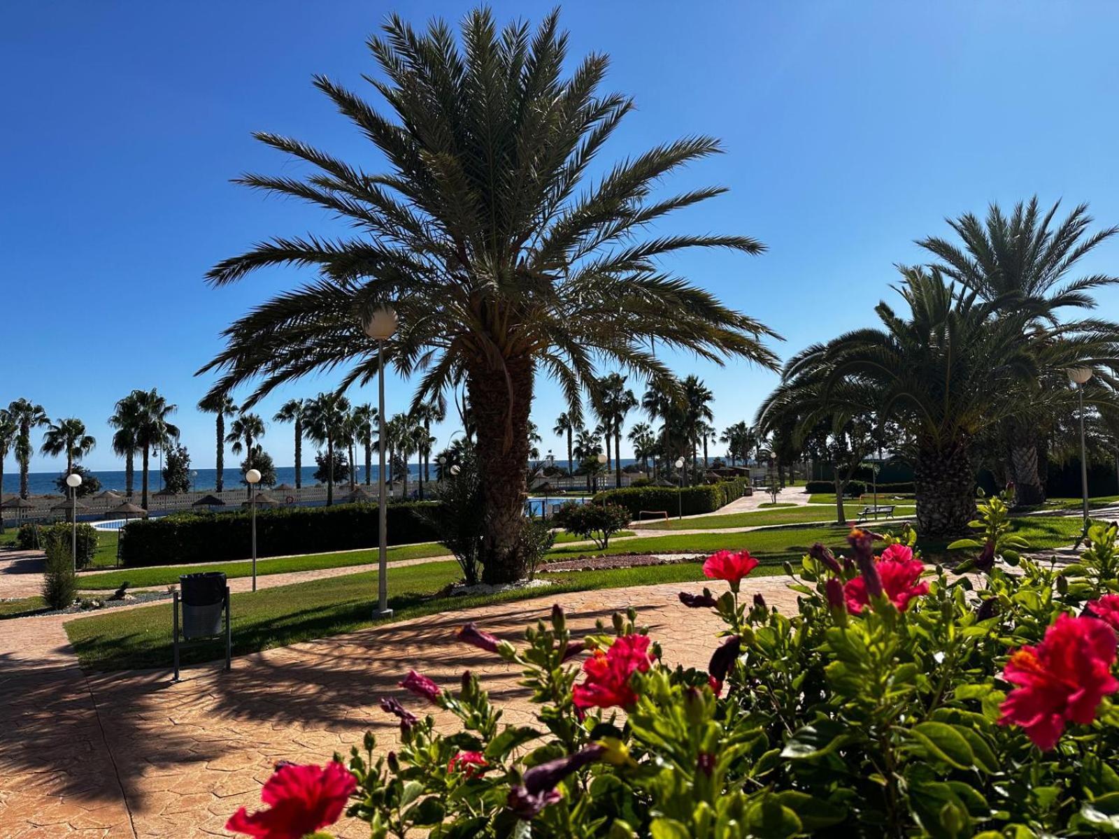 Luxurious Spacious Three Bedroom Apartment On Beachfront Almerimar Luaran gambar